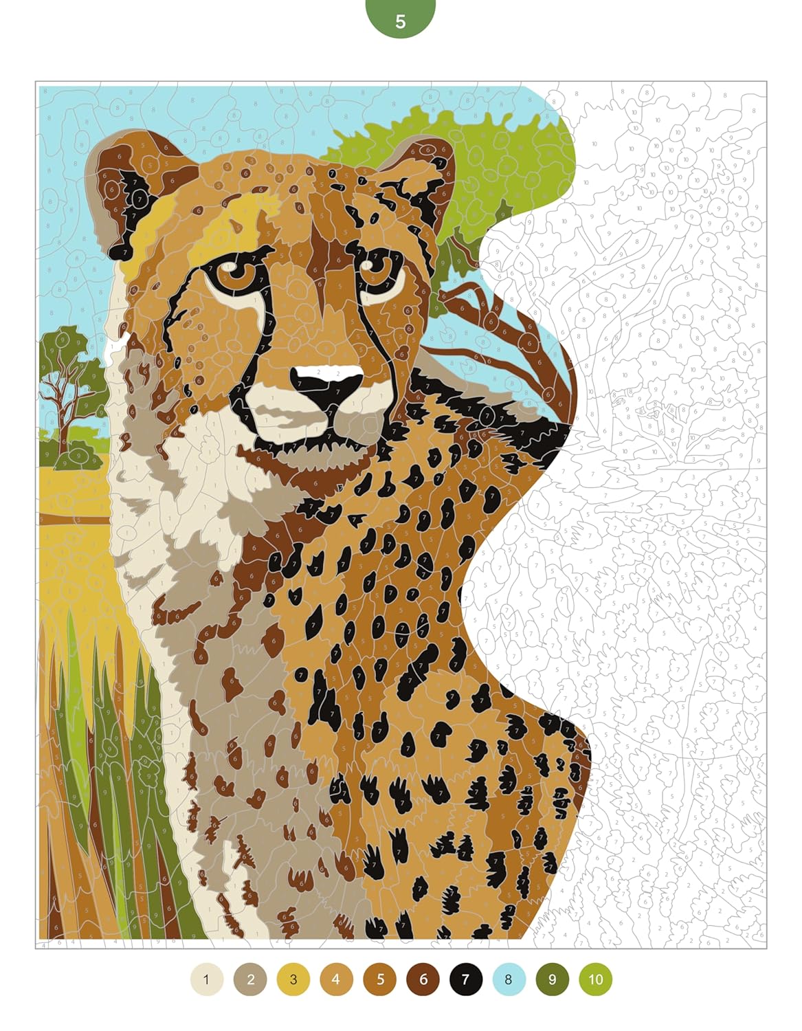 Animaux sauvages - 45 coloriages mystères
