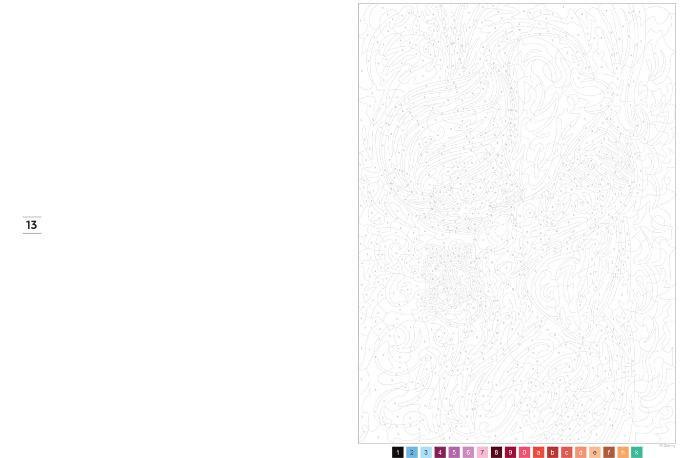 Coloriages mystères Disney Collector - Princesses