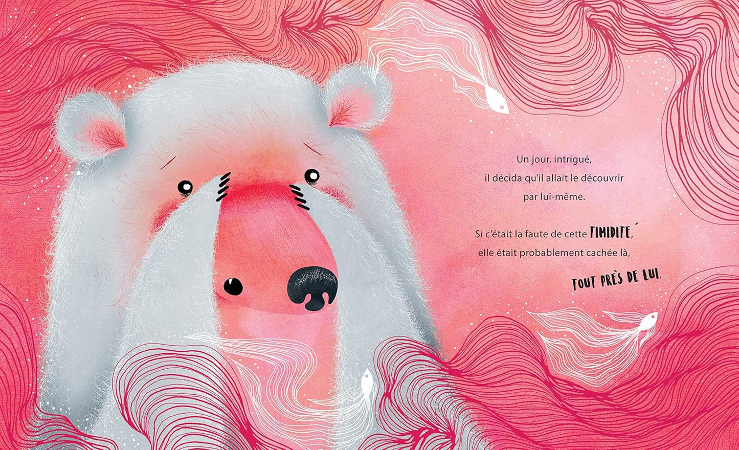 Editions Sassi - Une timidité d'ours