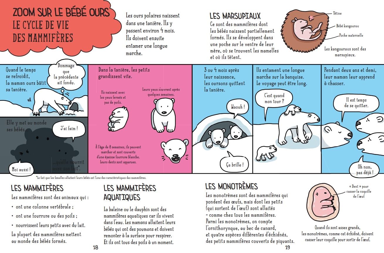 Sciences en BD junior La vie sur Terre