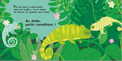 Au dodo - Les amis autour du monde