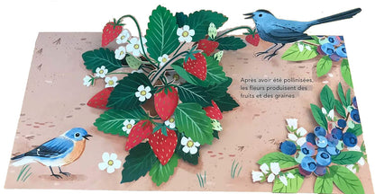 Merveilles de la nature NE