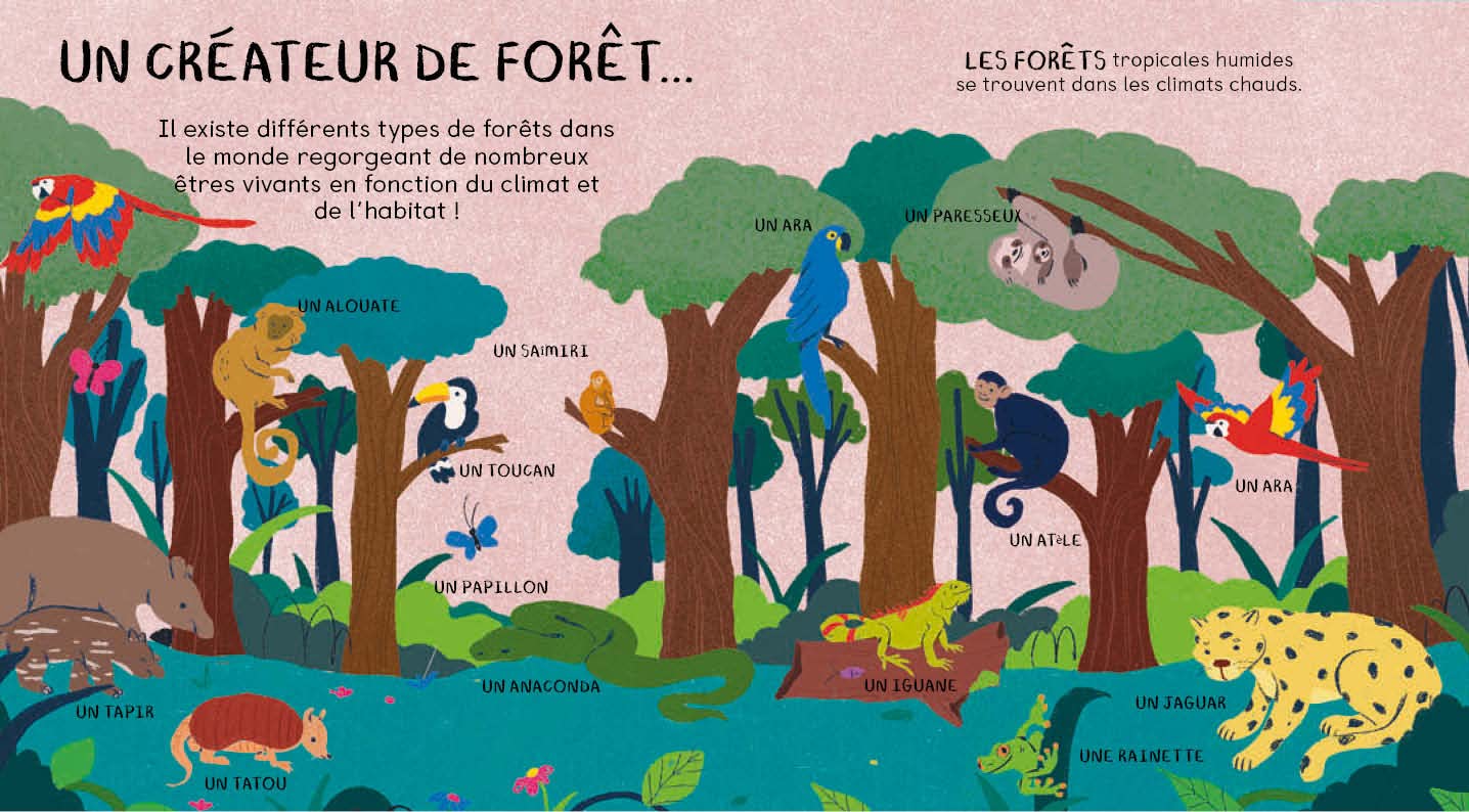 Les trésors cachés des arbres