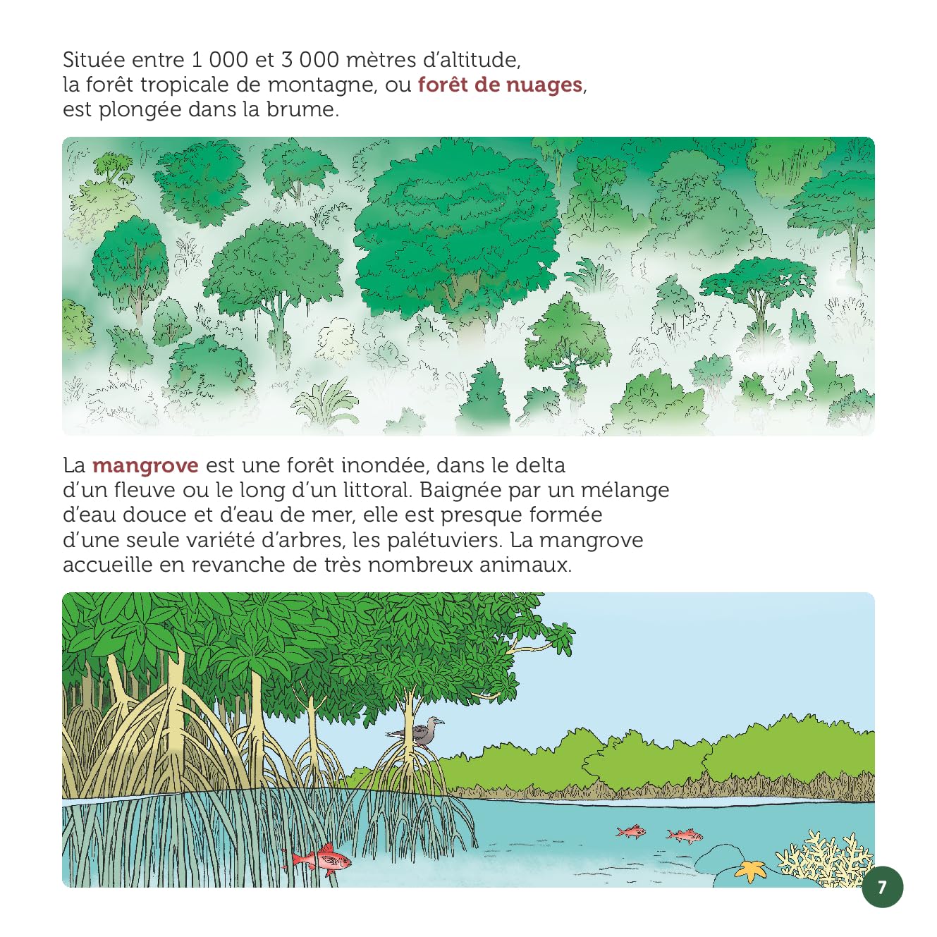 En haut des arbres