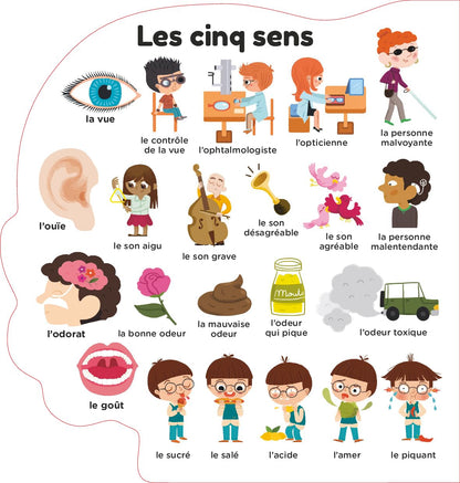 Le corps humain