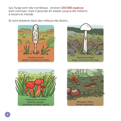Les champignons