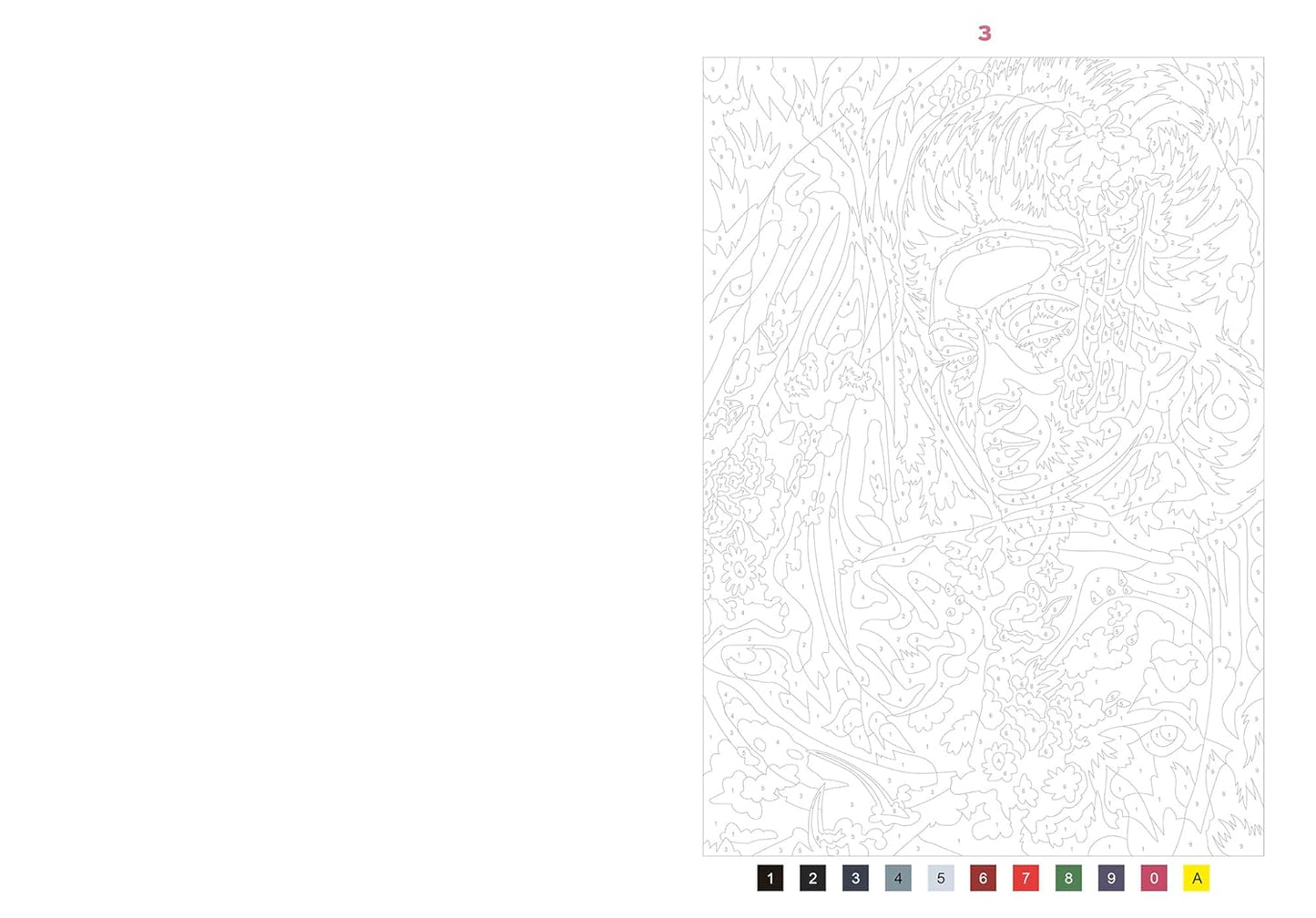 50 coloriages mystères