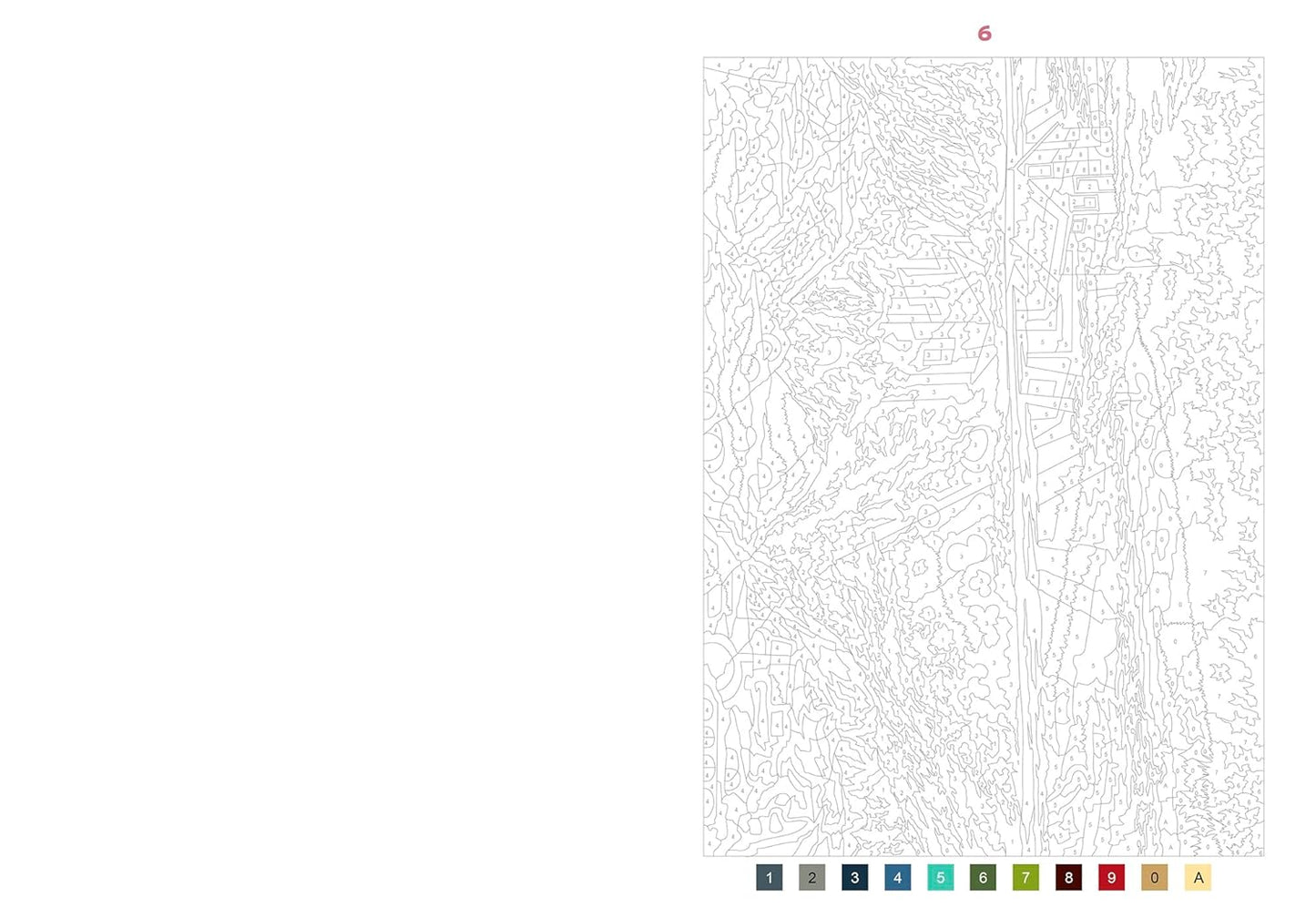 50 coloriages mystères