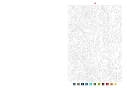 50 coloriages mystères