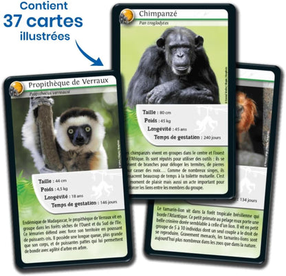 DEFIS NATURE - SINGES ET AUTRES PRIMATES
