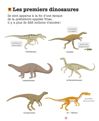MES ANNÉES POURQUOI - Les Dinosaures - Dès 4 ans