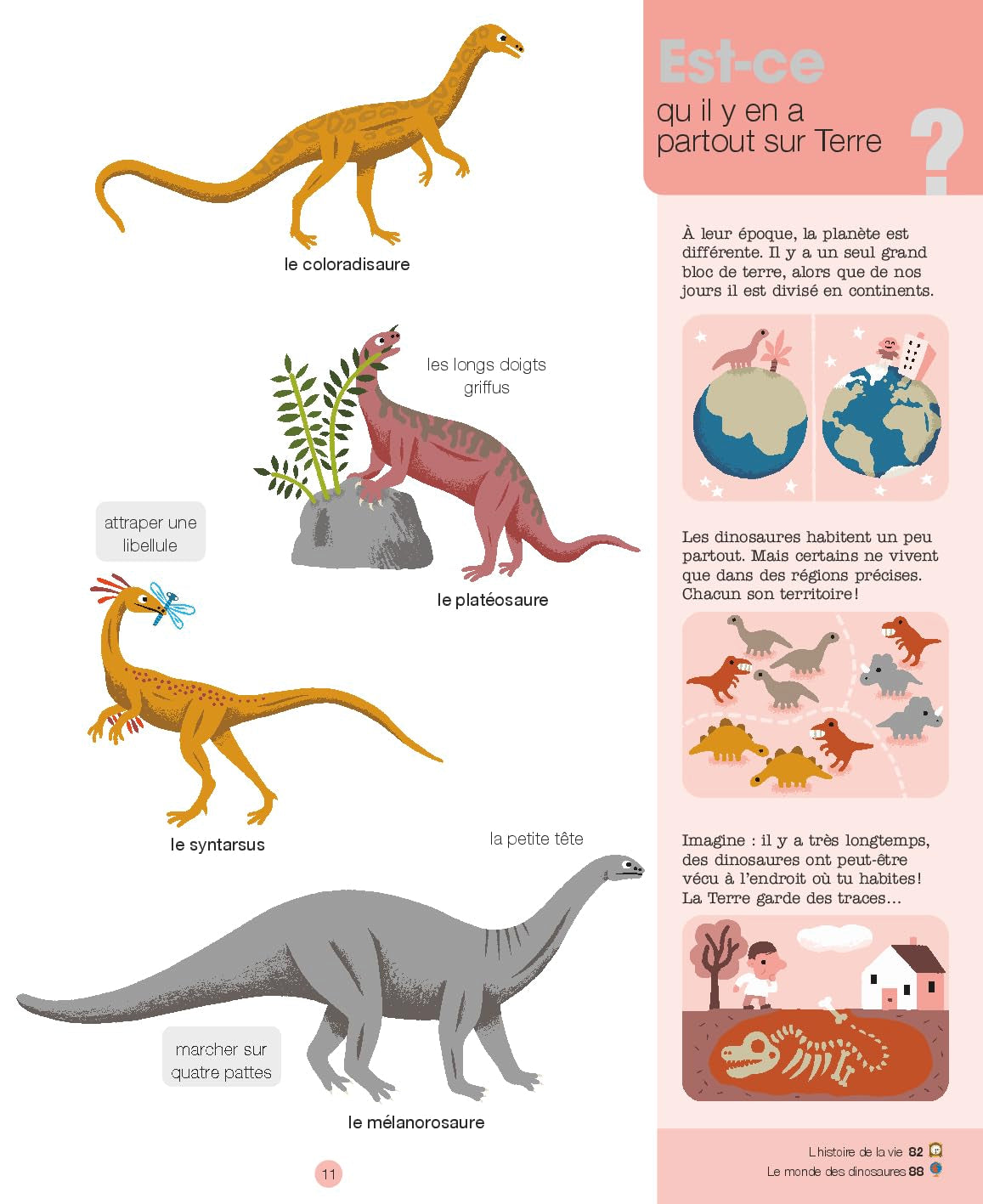 MES ANNÉES POURQUOI - Les Dinosaures - Dès 4 ans