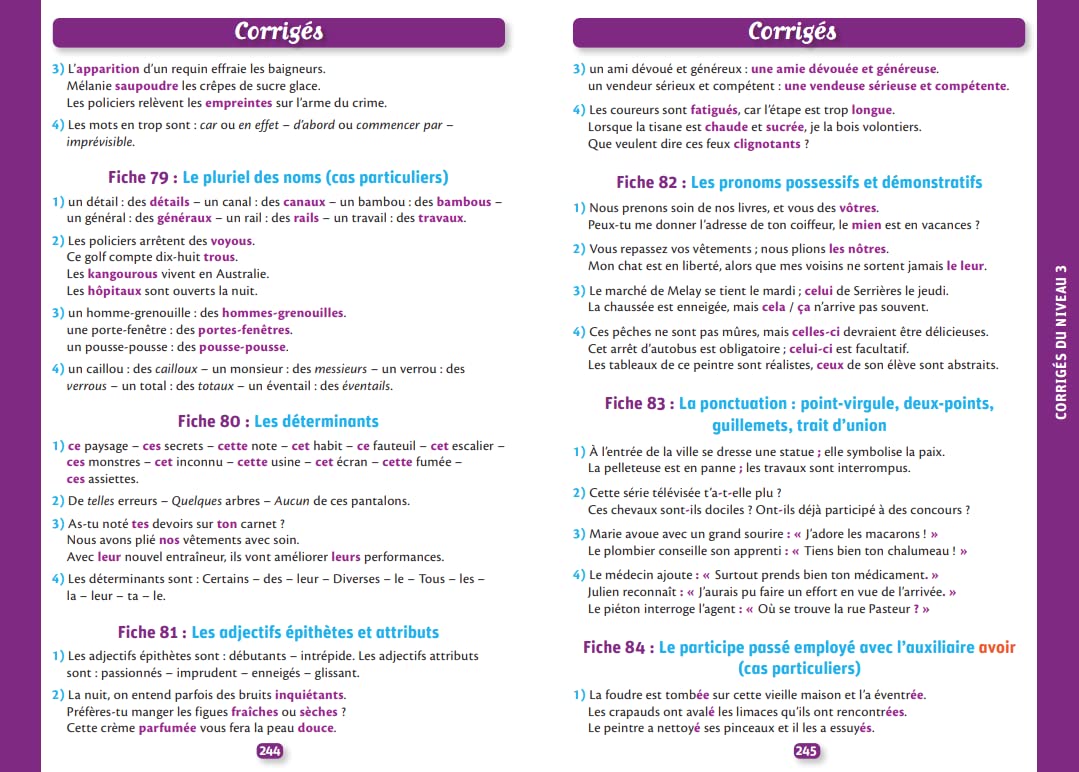 500 dictées et exercices d'orthographe spécial primaire
