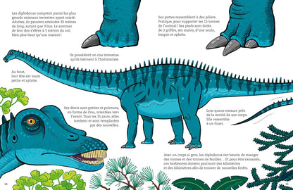 Diplodocus, géant gourmand