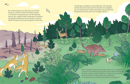 La Vie de la forêt