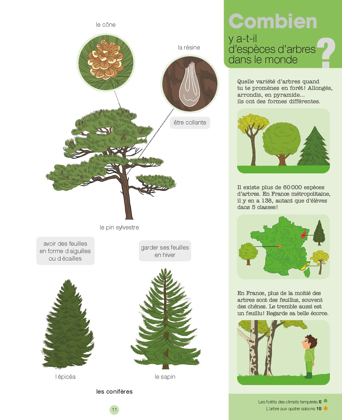La forêt