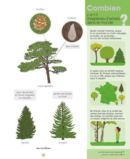 La forêt