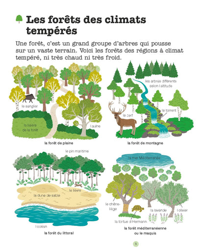 La forêt