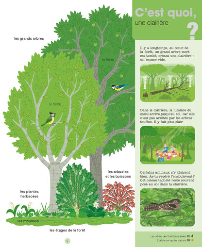 La forêt