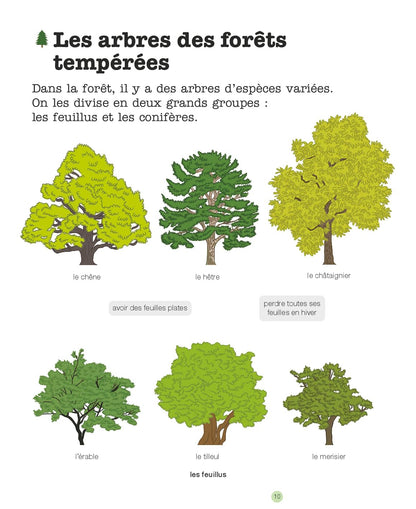 La forêt