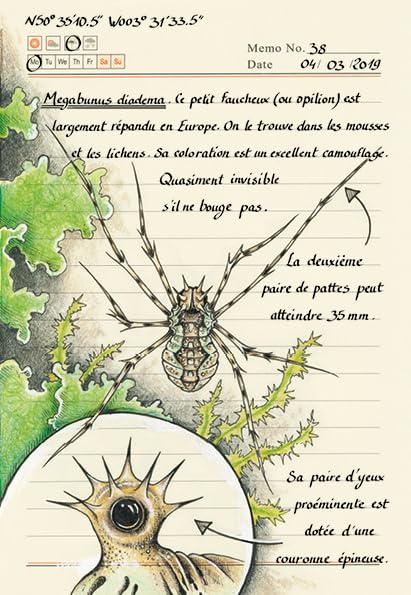 Forêt secrète