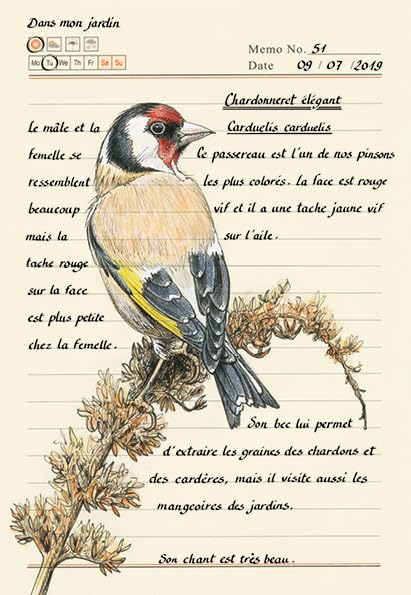 Forêt secrète