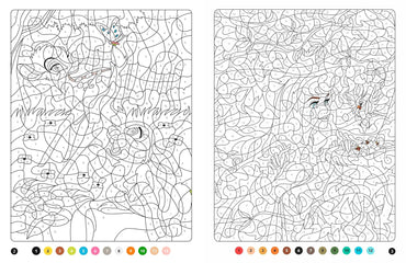 DISNEY - Coloriages Magiques - Mystères (7+) - La forêt