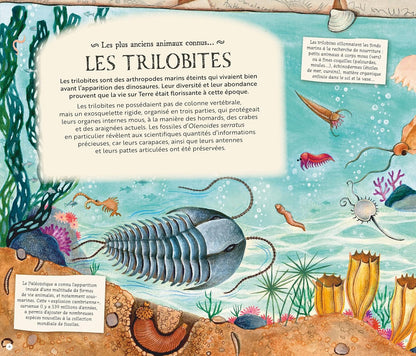 Les Fossiles nous racontent la Terre