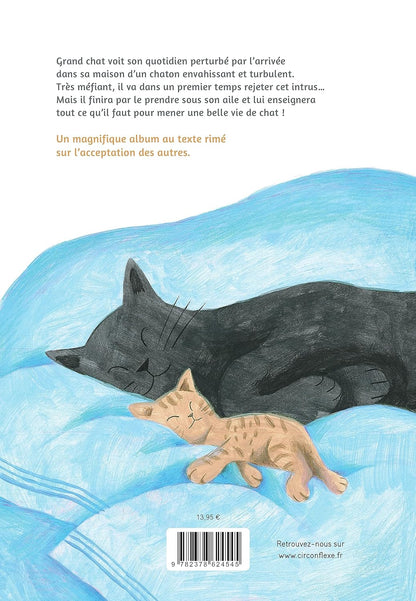 Grand chat, petit chat