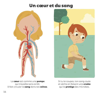Le corps