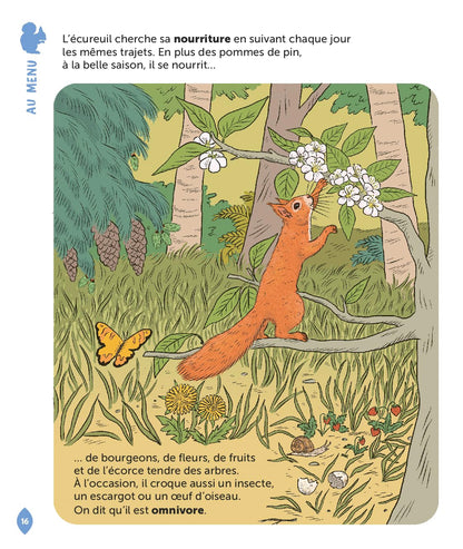 L'écureuil