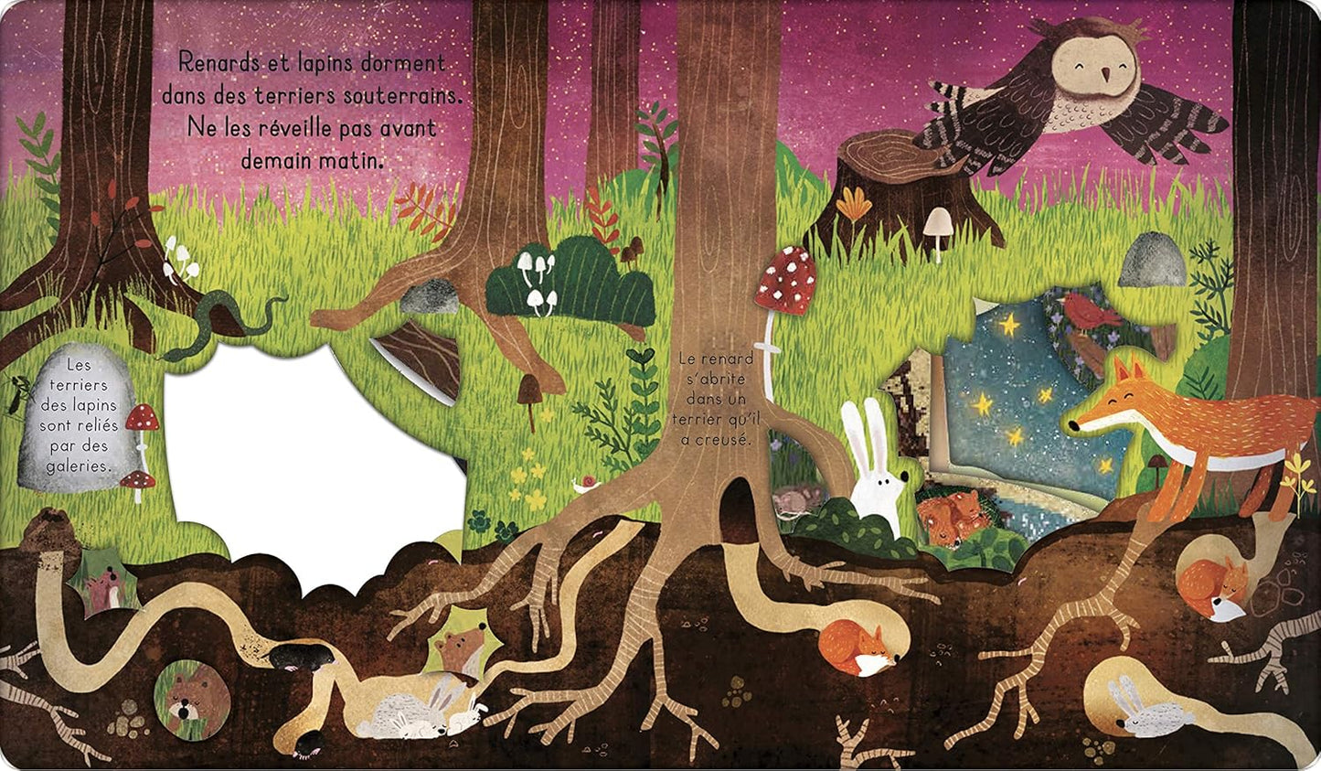 Bonne nuit, la forêt !
