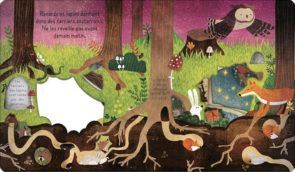 Bonne nuit, la forêt !
