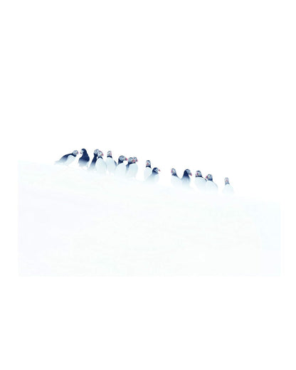 Première neige