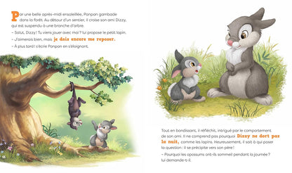 DISNEY - Les nouvelles histoires de Panpan - Bonne nuit, Panpan !