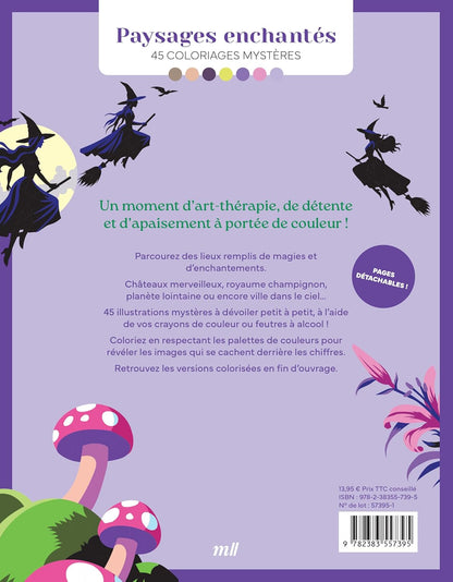 Paysages enchantés - 45 coloriages mystères