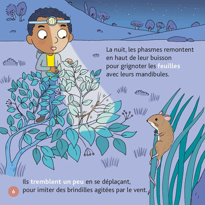 Les phasmes