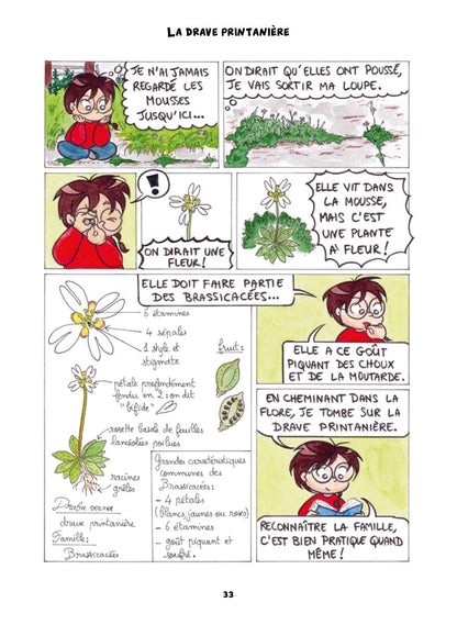 A l'ombre du pissenlit