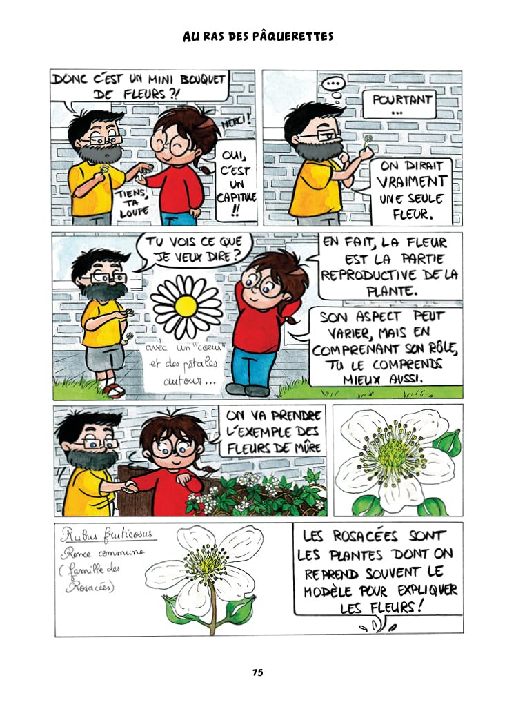 A l'ombre du pissenlit