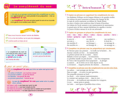 BLED Les 50 règles d'or de la grammaire