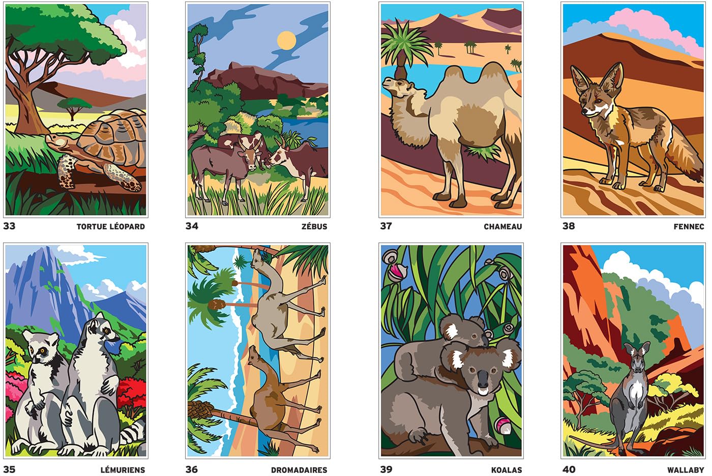 Coloriages mystères - Safari