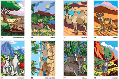 Coloriages mystères - Safari