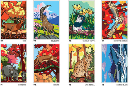 Coloriages mystères - Safari