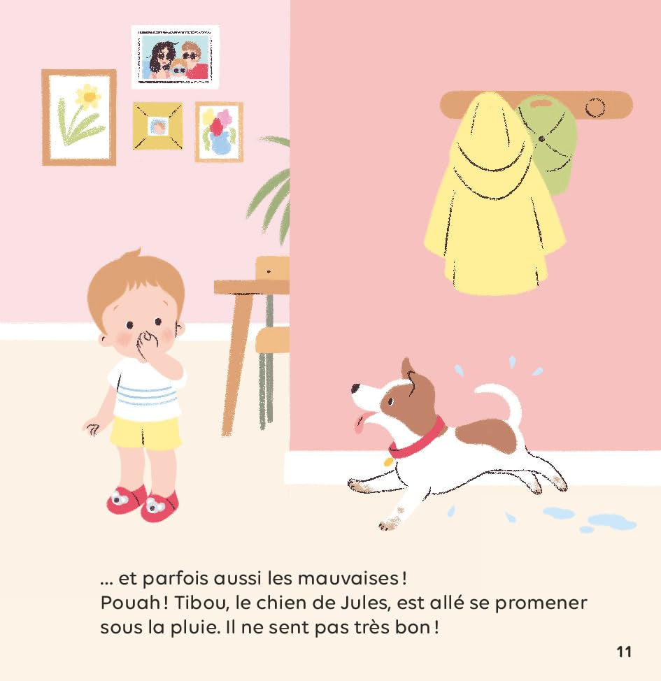 Les cinq sens