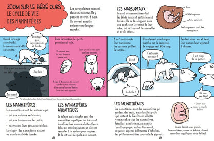 Sciences en BD junior La vie sur Terre