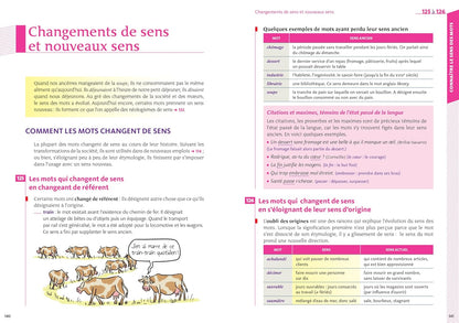 Bescherelle - Le vocabulaire pour tous (nouvelle édition)